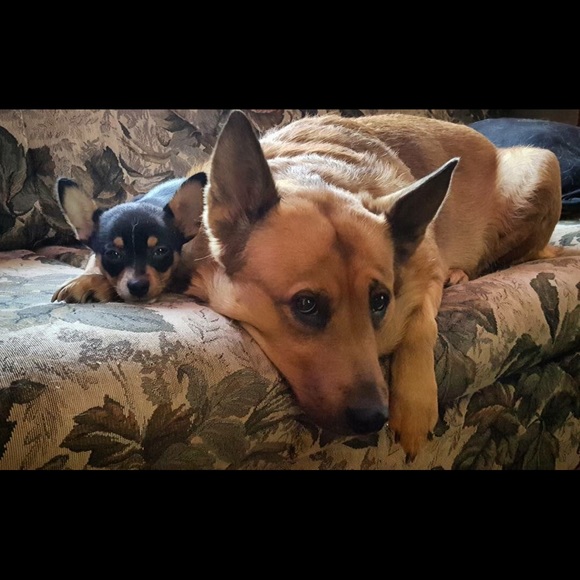 Meet your Posher, Jordan - Picture 8 of 8